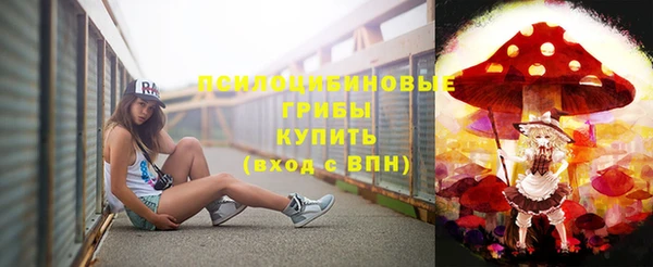 ГАЛЛЮЦИНОГЕННЫЕ ГРИБЫ Баксан