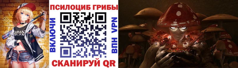 Купить закладки  Арсеньев  Псилоцибиновые грибы Psilocybe 