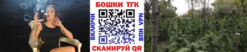 Купить закладки  Арсеньев  Бошки марихуана конопля 